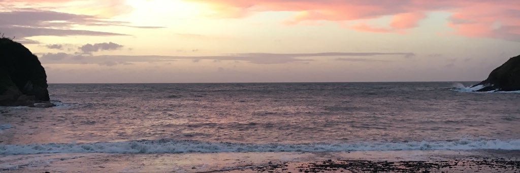 AshleaEnchanted's profile banner image