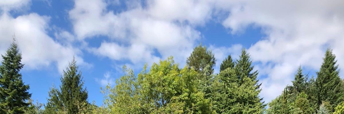 Julia Middleton banner