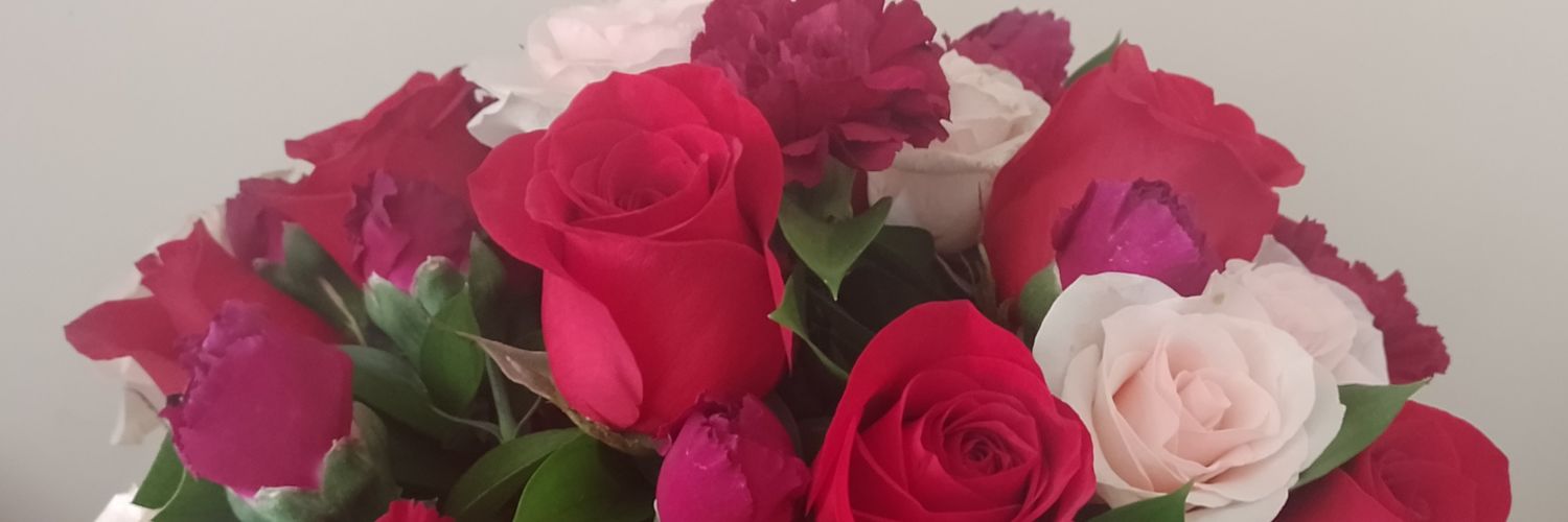 lizvaldi's profile banner image