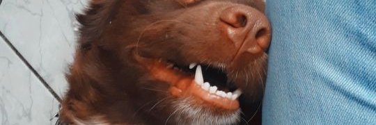 rueda_gabs's profile banner image