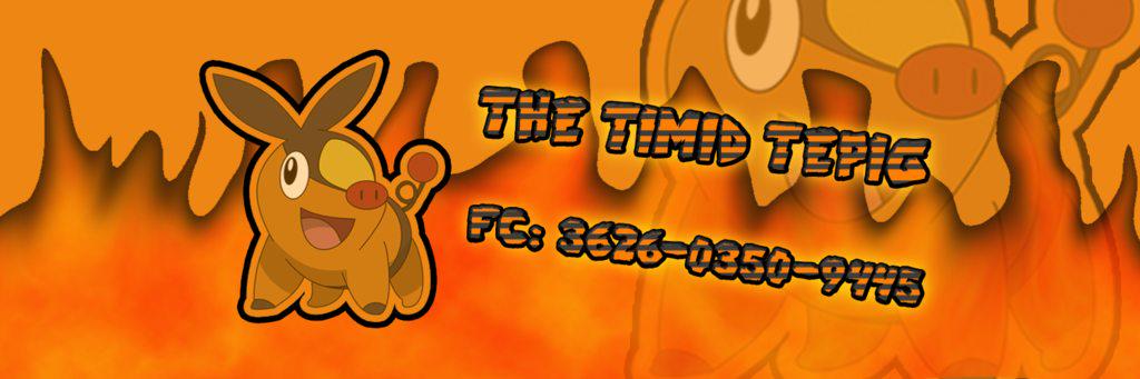 TheTimidTepig's profile banner image