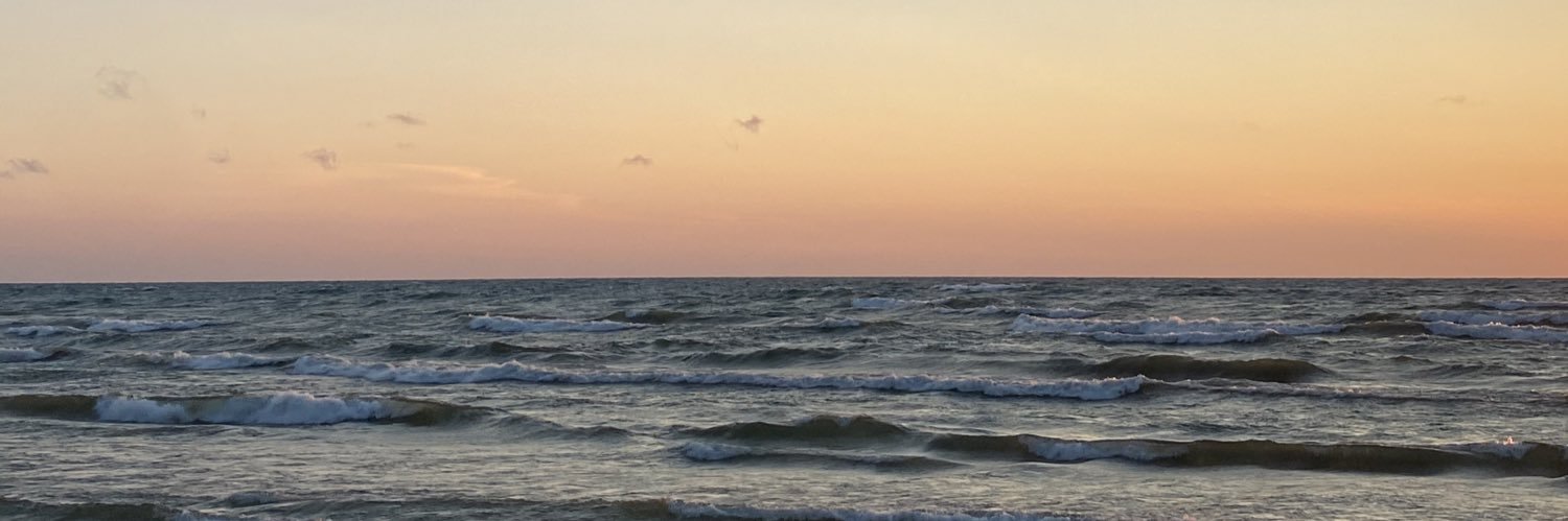 tame in paula banner