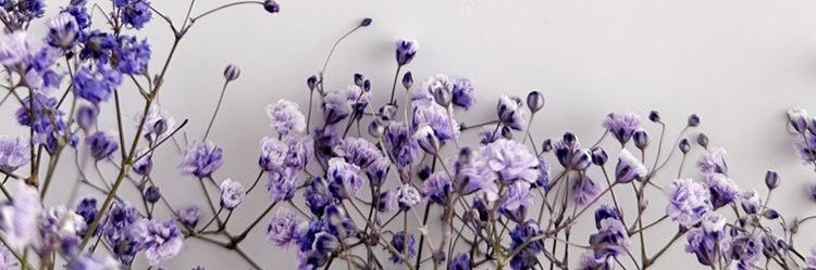 iskhevra's profile banner image