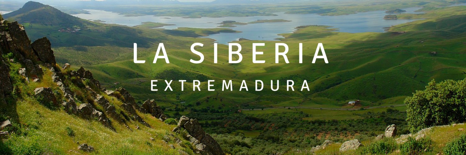 SiberiaBlog's profile banner image