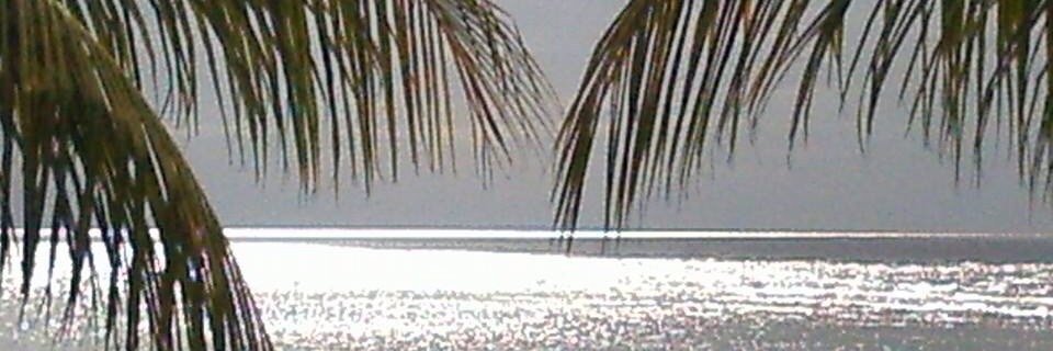 glt1946's profile banner image