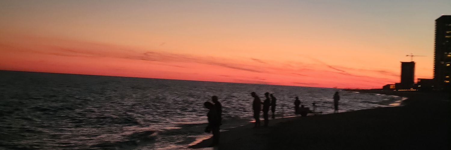 TheRealFoxFire's profile banner image