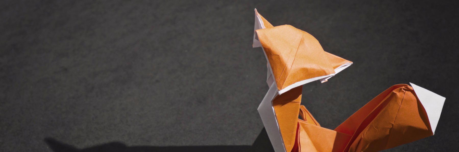 StartupLogan's profile banner image
