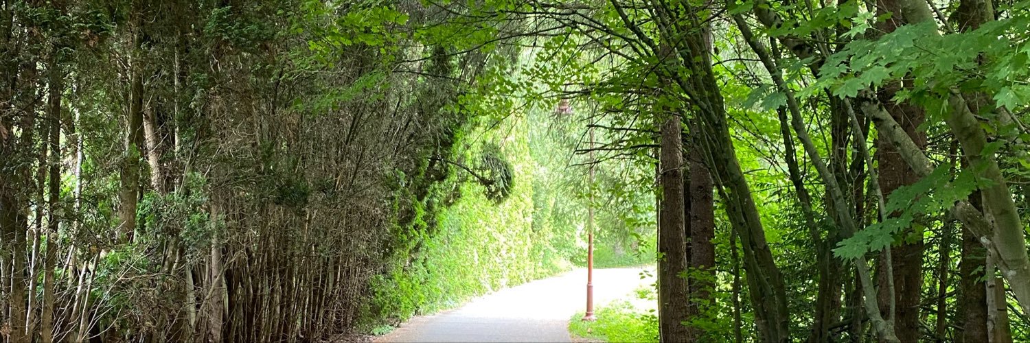 runCryptoRun11's profile banner image