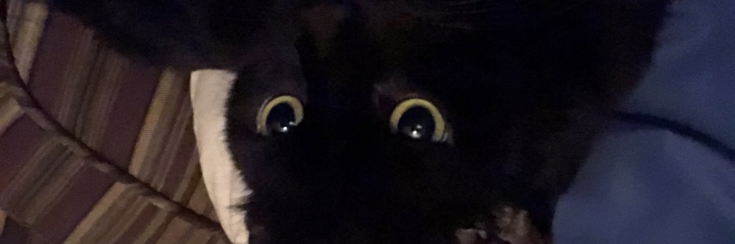 JoeJoe2494's profile banner image