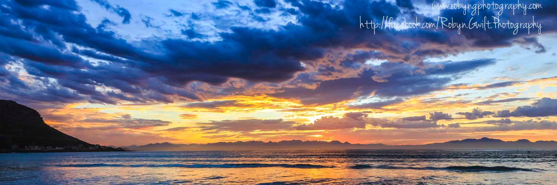 RobynGwilt's profile banner image
