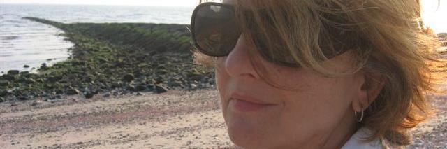 Binnie Klein banner