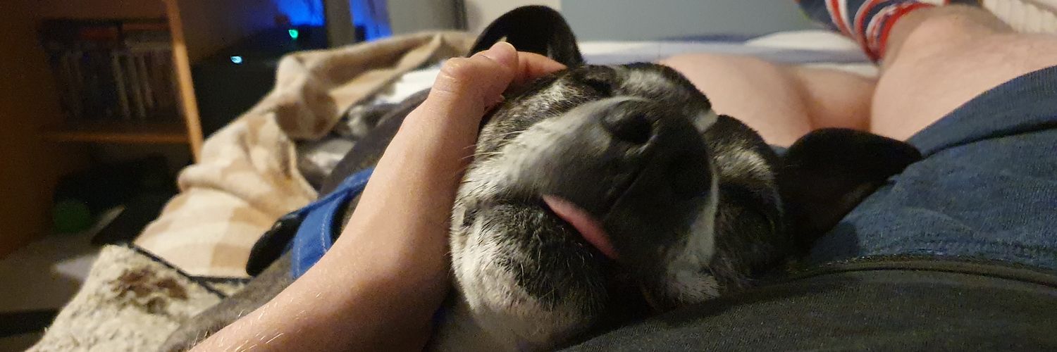 Duncan Radband banner