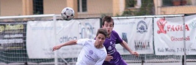 serni_edoardo's profile banner image