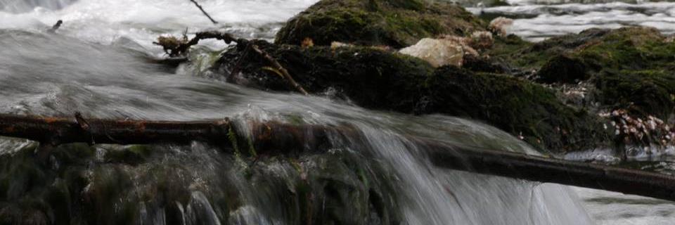 jackiecouves's profile banner image