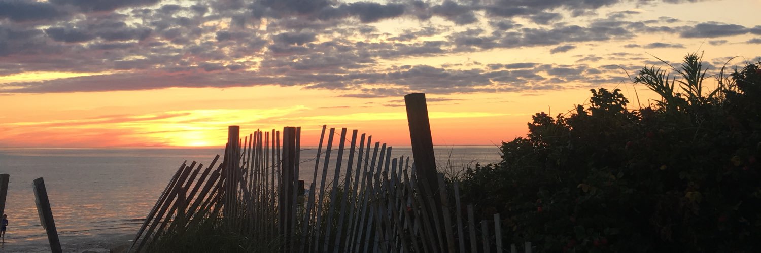SarahNarracci's profile banner image