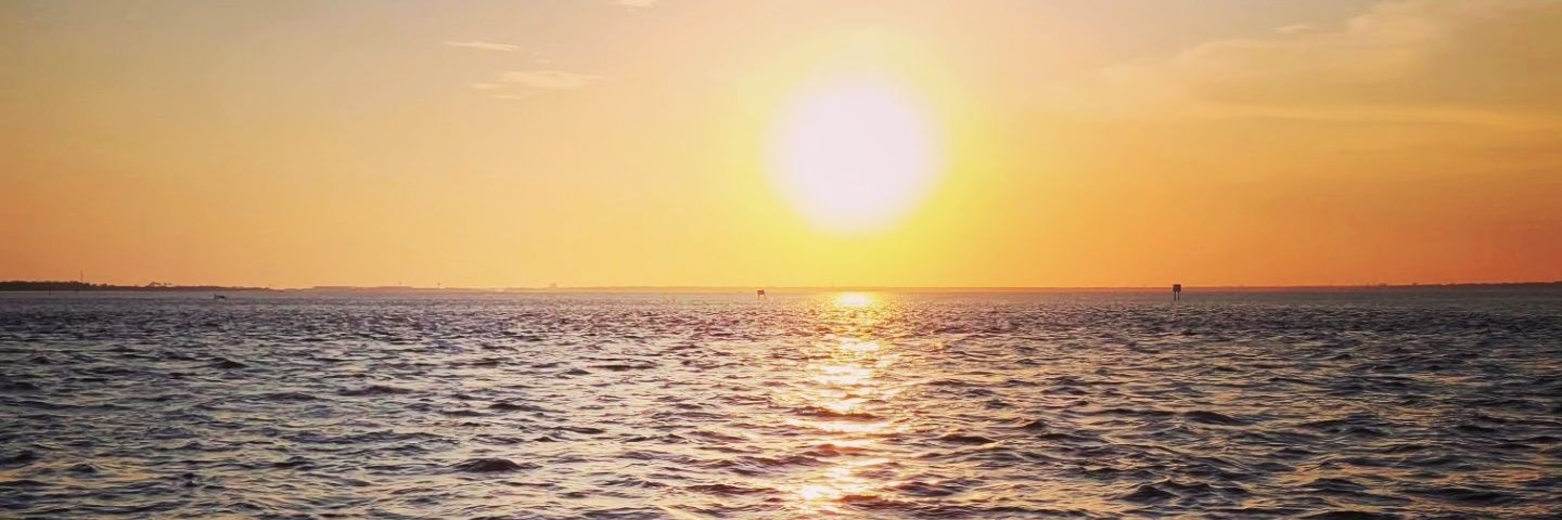 Freddysamuel14's profile banner image