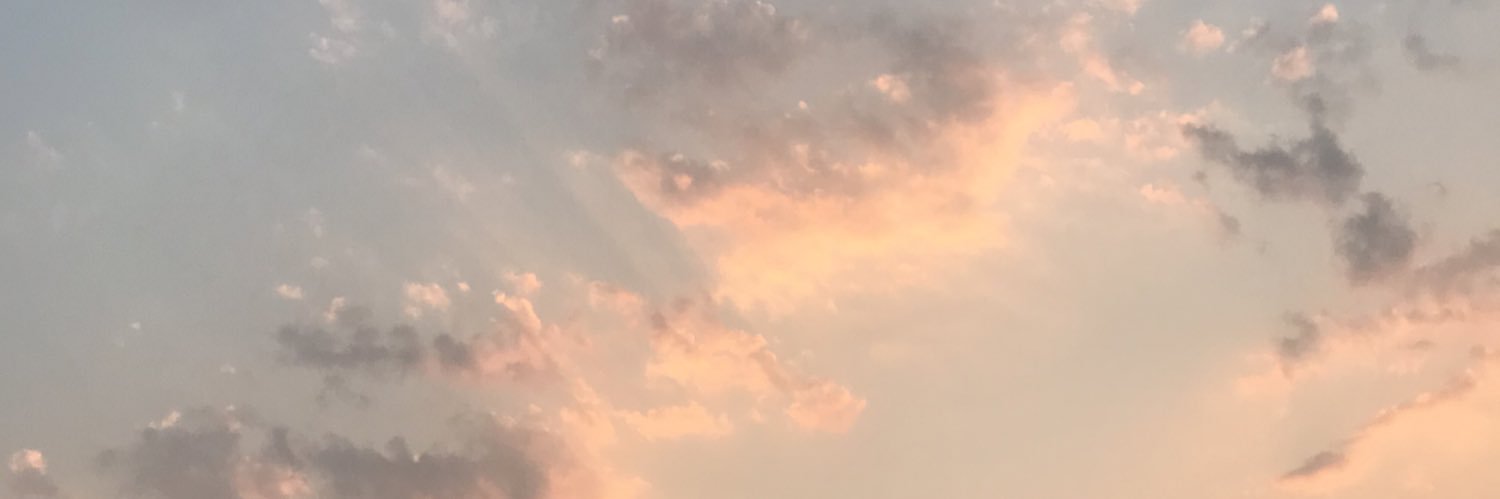 pingguongai's profile banner image