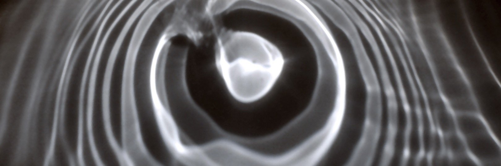 perpendicular14's profile banner image