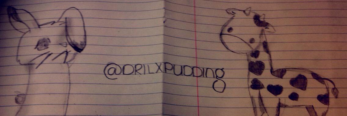DrilxPudding's profile banner image