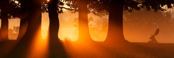 AnnetteSmith66 Profile Banner