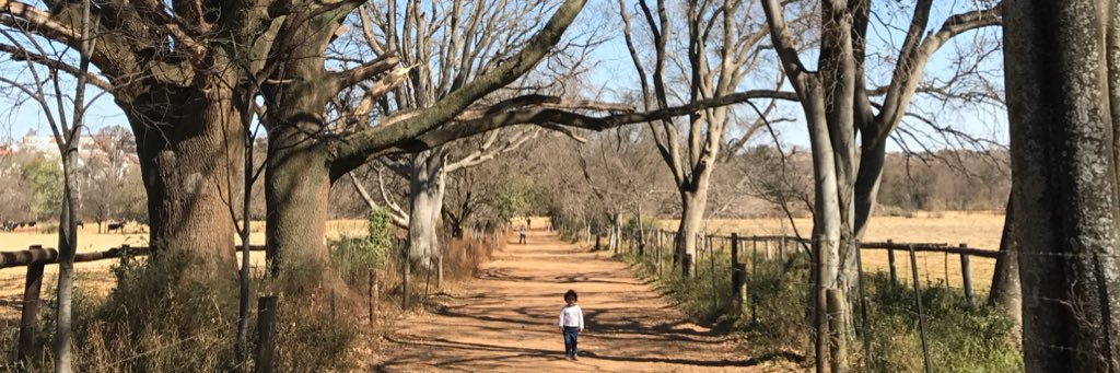 Amina Ebrahim banner