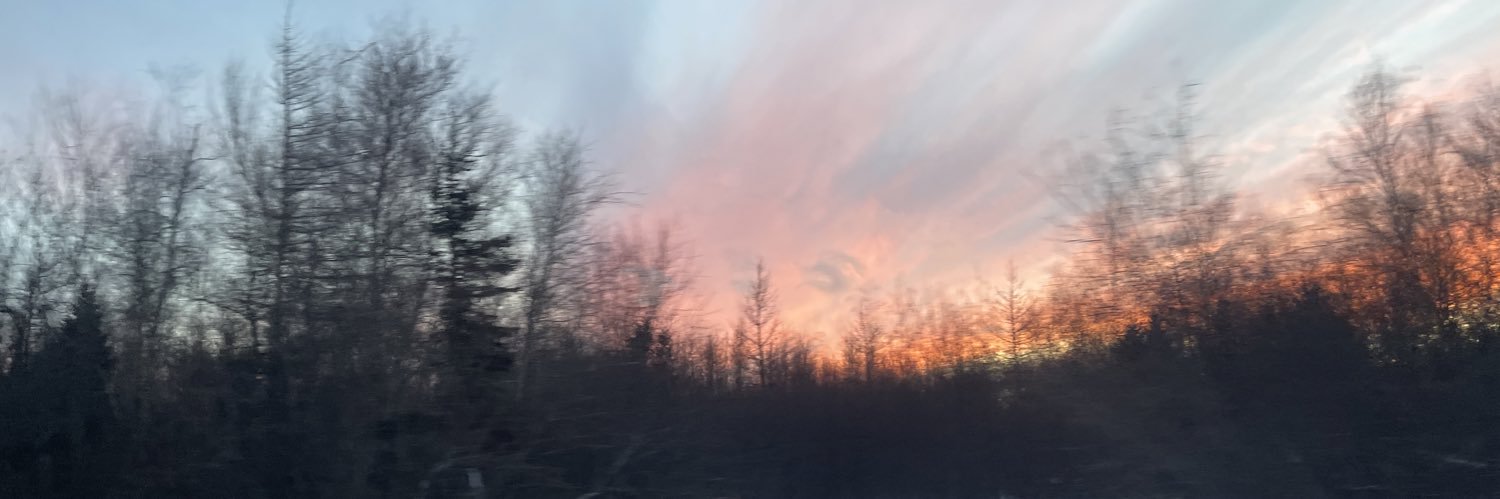mimixswift13's profile banner image