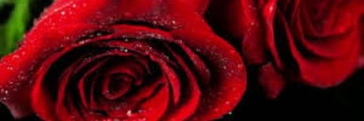 DatingYoungGirl's profile banner image