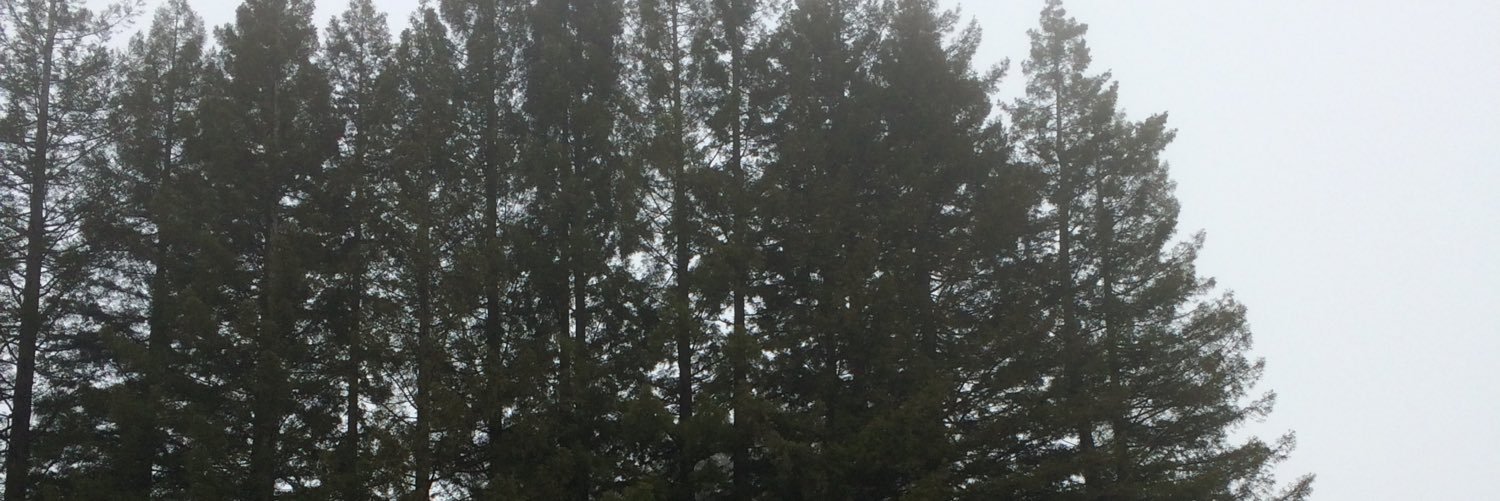 aikolaughs's profile banner image