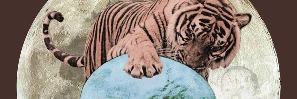Rossgriso's profile banner image