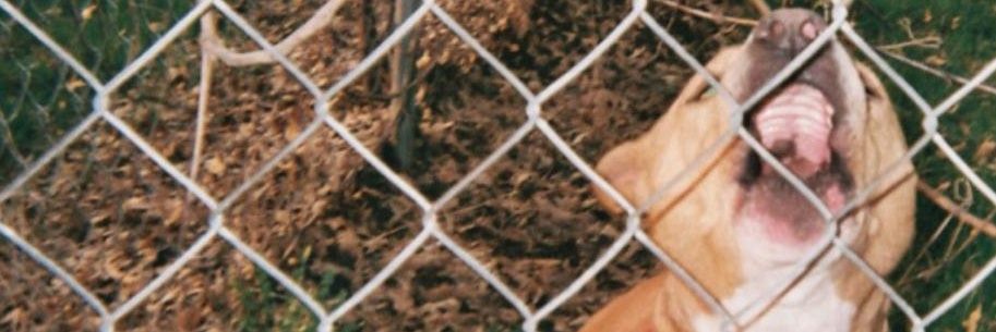 cuntingworms's profile banner image