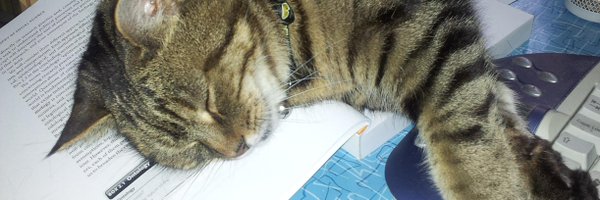 brisofa Profile Banner