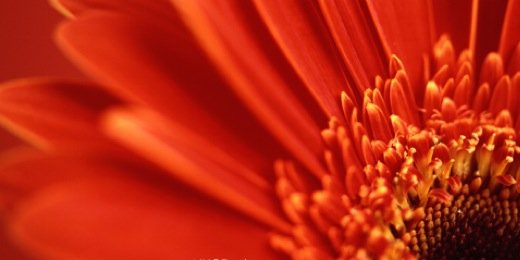 brittprochaska's profile banner image