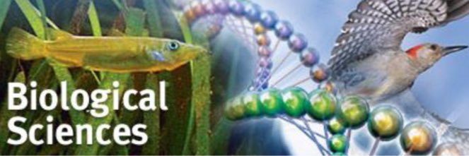 ulethBioClub's profile banner image