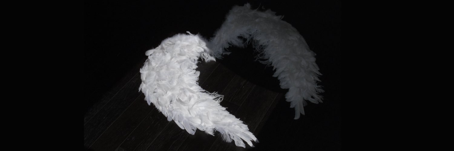 cookiemonster🍪 banner