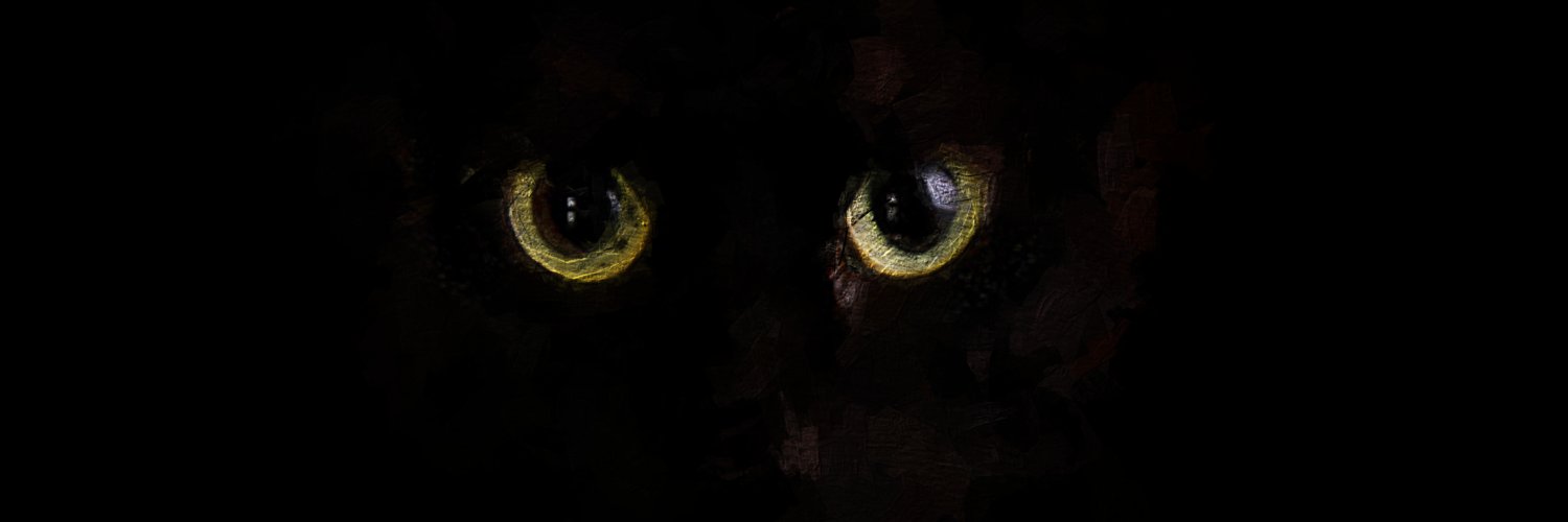 v4niko's profile banner image