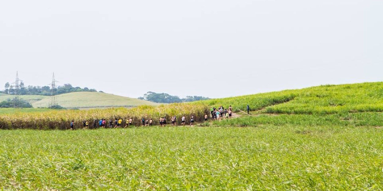 lindscoll's profile banner image