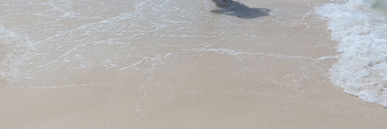 MissSofi96's profile banner image