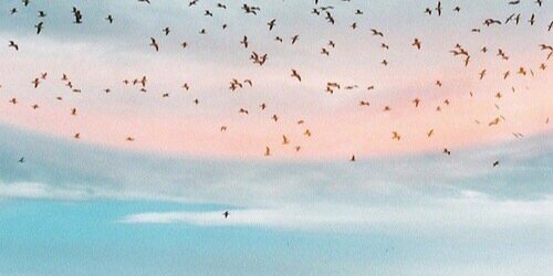 Nwir_'s profile banner image