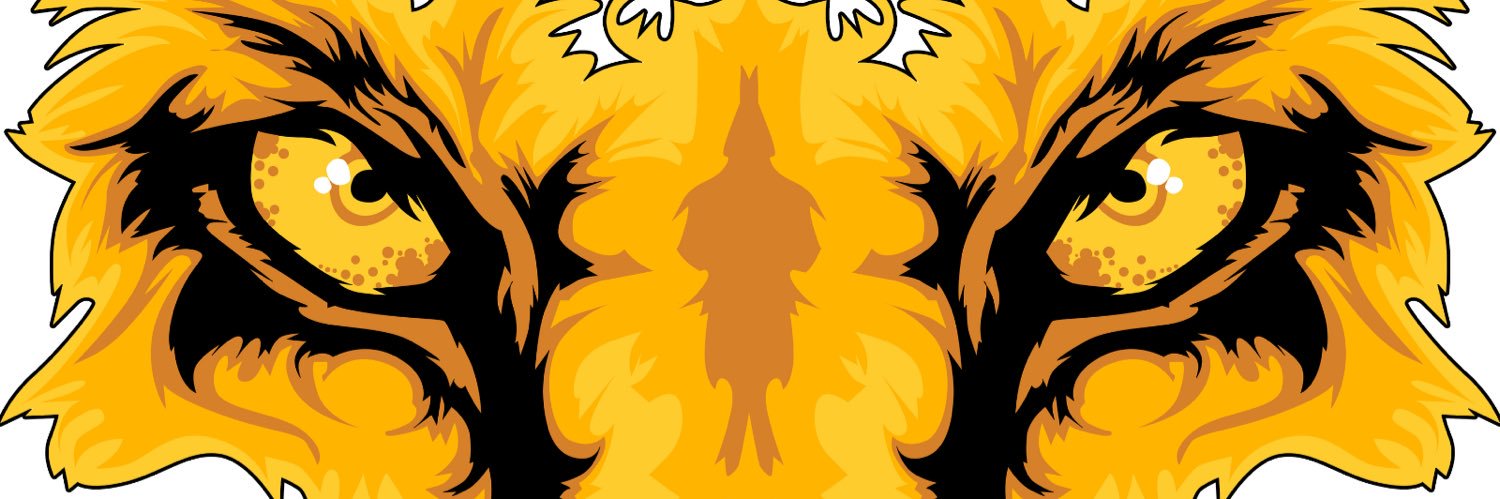 Stevehawk56's profile banner image