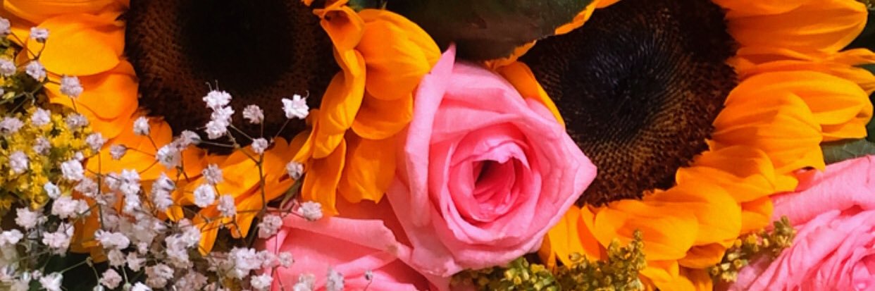 RaisaCanto's profile banner image