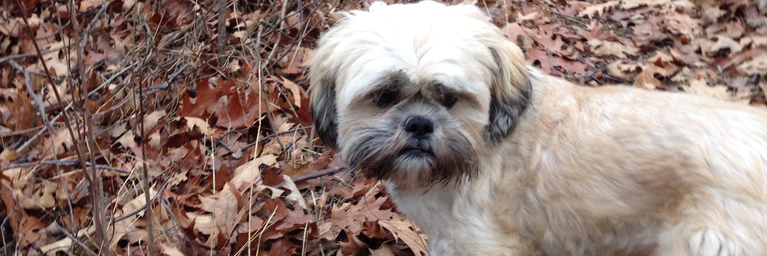 hogger711's profile banner image