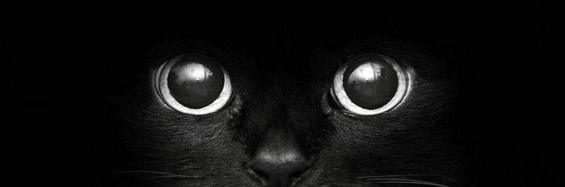 ChuckAndChef's profile banner image