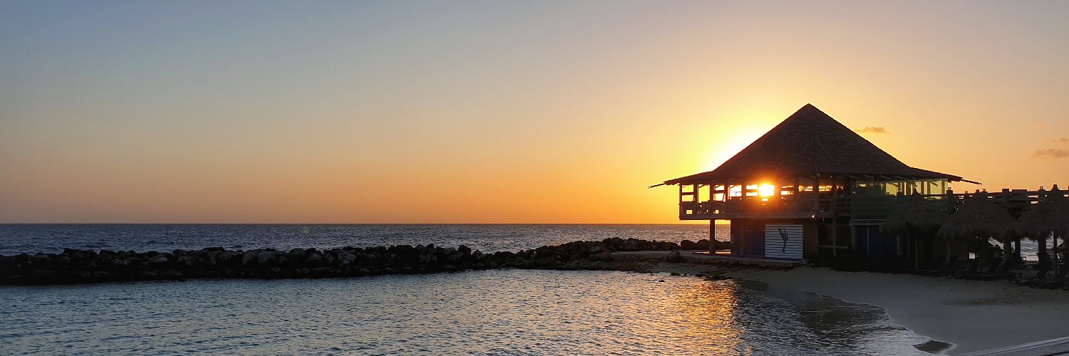 Saskia Jonker 🕉️ banner