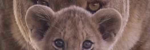 EngieM306's profile banner image