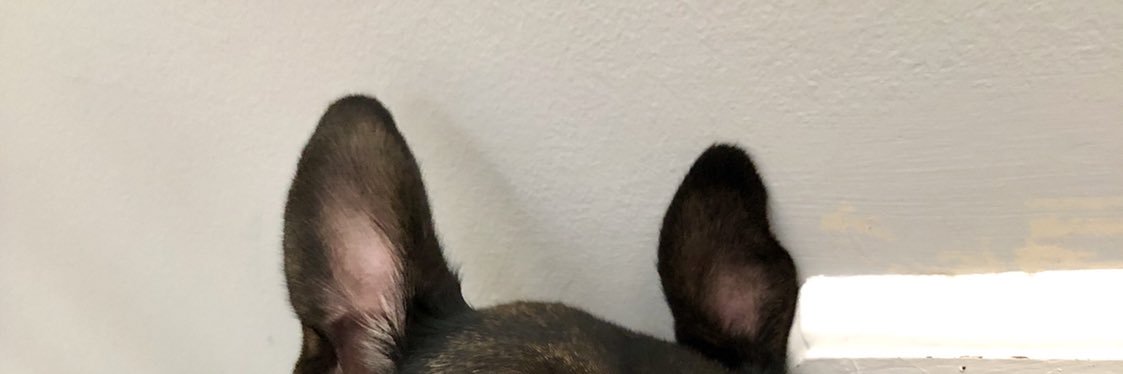 hELLAclarke's profile banner image