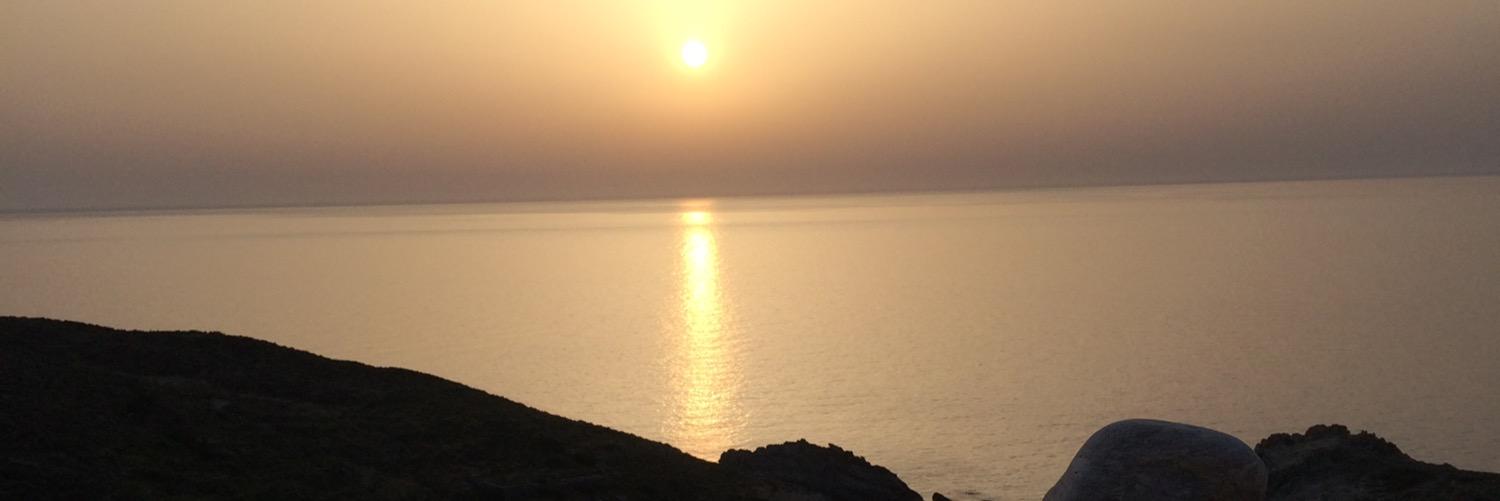sonyysally's profile banner image