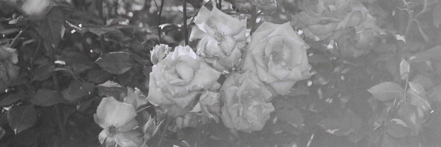 mwm1997's profile banner image