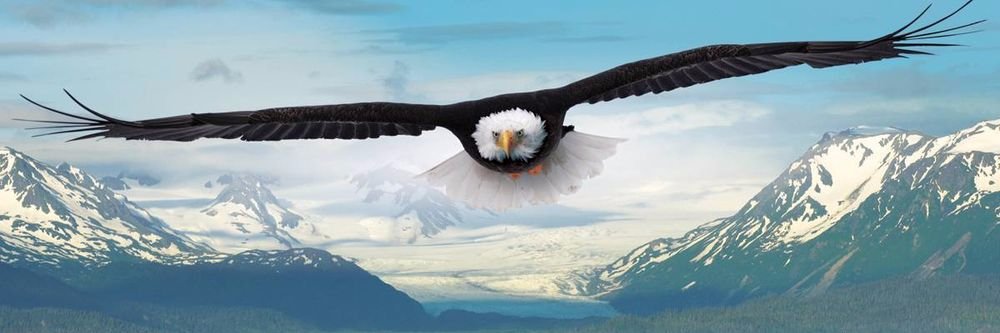 eagle7extreme's profile banner image