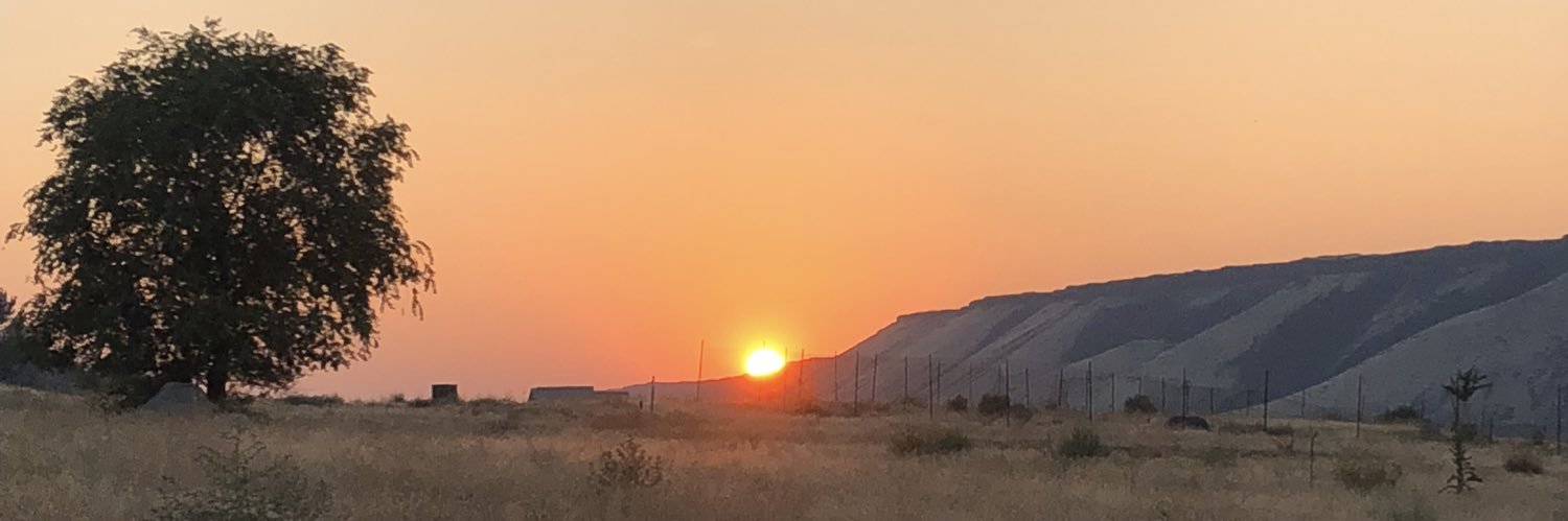 ari_phillips_'s profile banner image