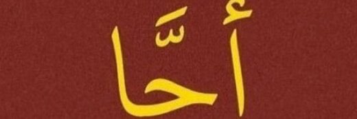 Kokilina's profile banner image
